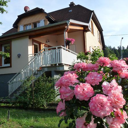 Locations Dupertuis Alsace Apartment Le Hohwald Bagian luar foto