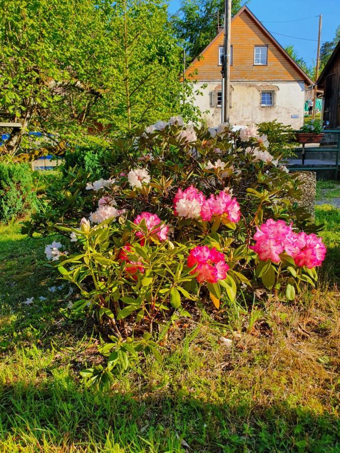 Locations Dupertuis Alsace Apartment Le Hohwald Bagian luar foto
