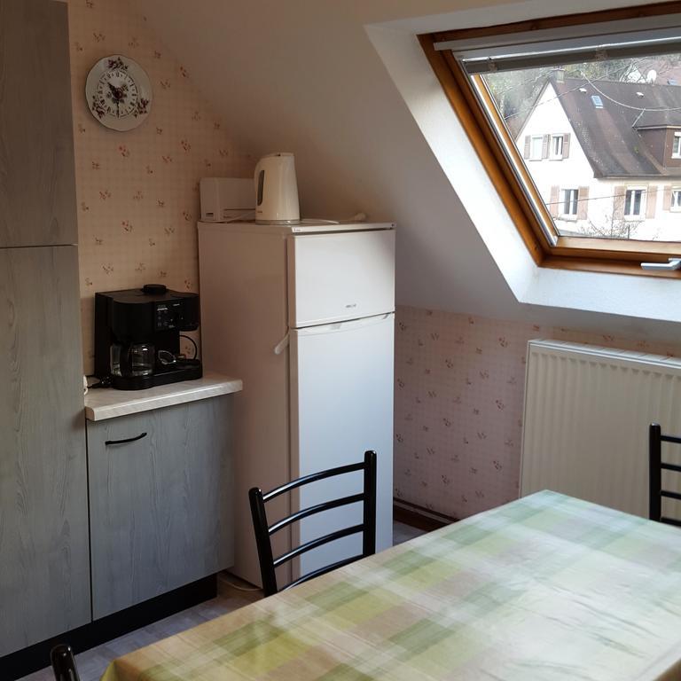 Locations Dupertuis Alsace Apartment Le Hohwald Bagian luar foto