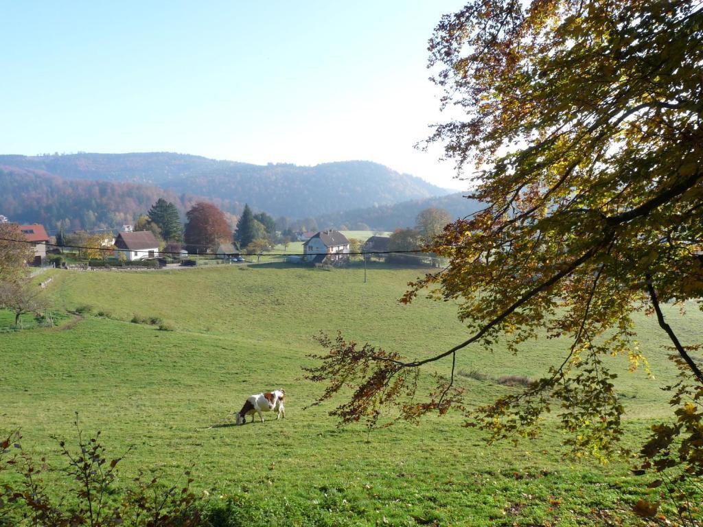 Locations Dupertuis Alsace Apartment Le Hohwald Ruang foto