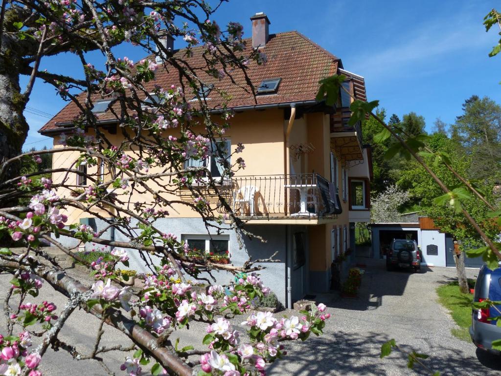 Locations Dupertuis Alsace Apartment Le Hohwald Bagian luar foto