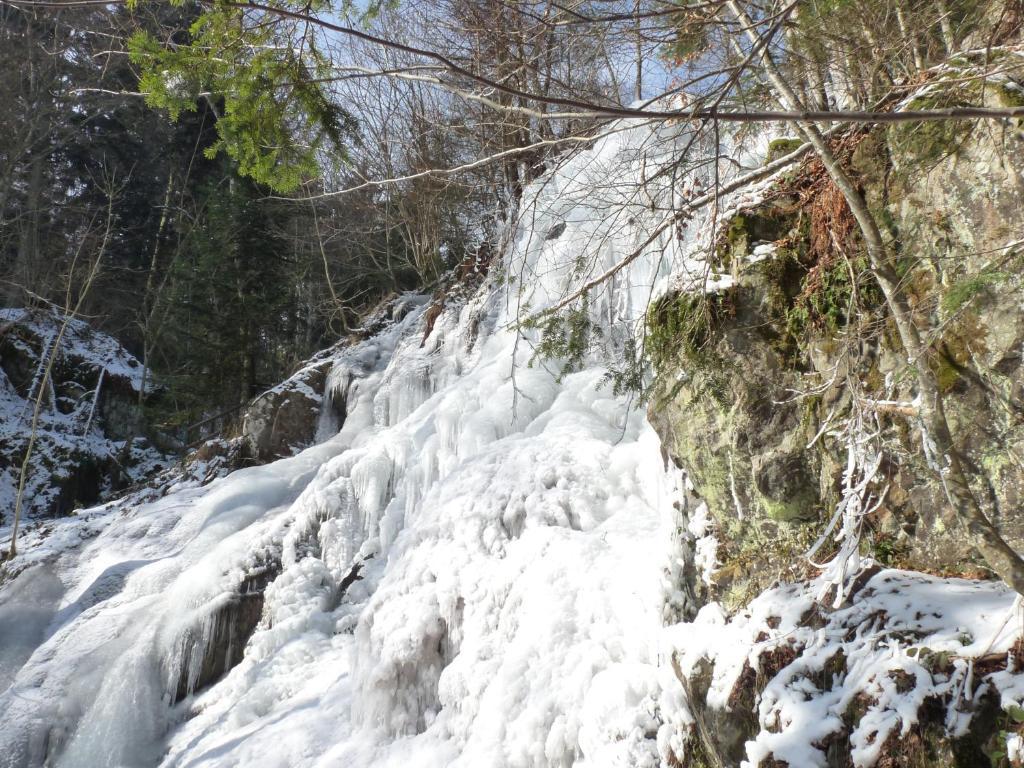 Locations Dupertuis Alsace Apartment Le Hohwald Bagian luar foto
